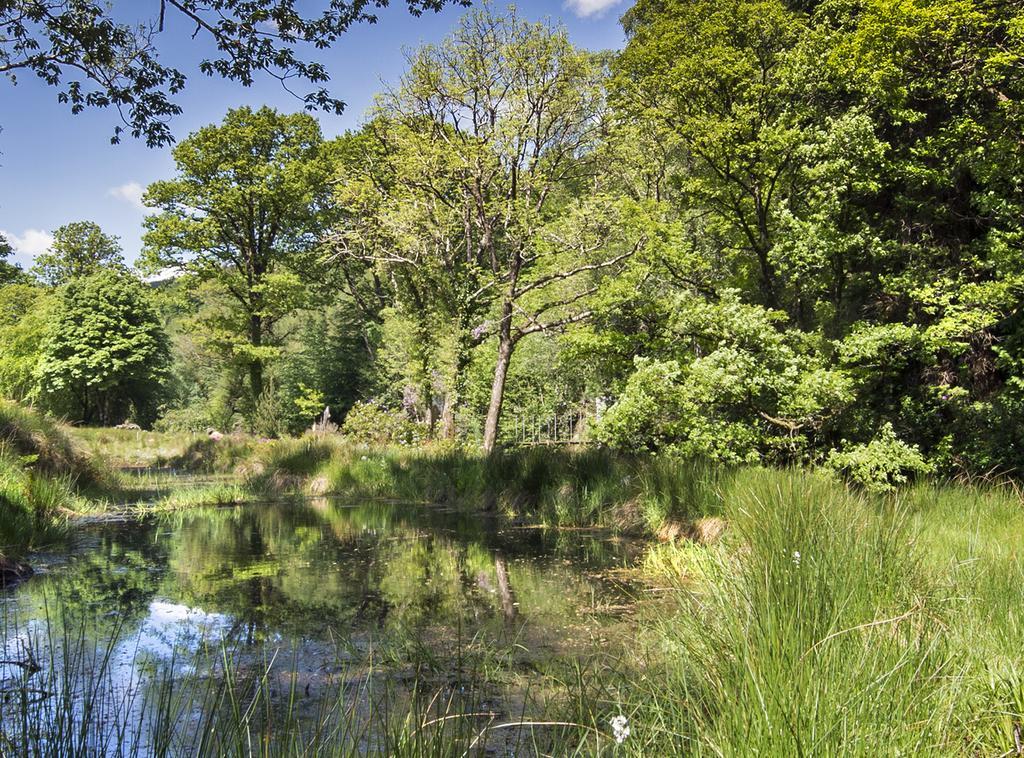 Ballyteige Lodge Ballyteige Bridge Esterno foto