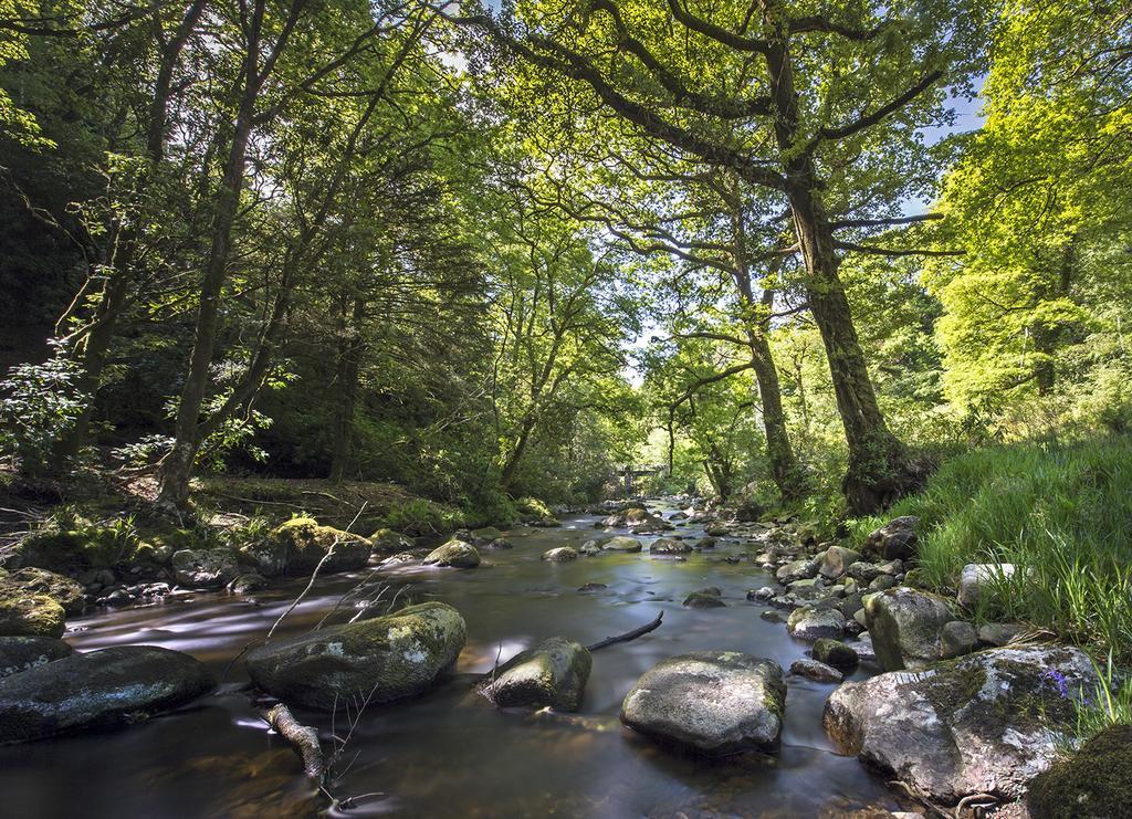 Ballyteige Lodge Ballyteige Bridge Esterno foto