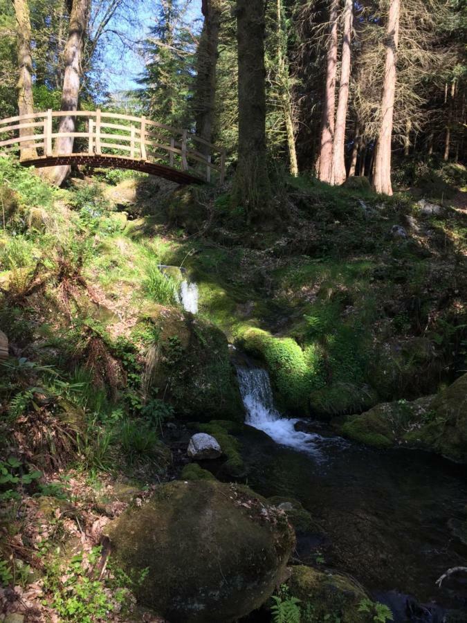 Ballyteige Lodge Ballyteige Bridge Esterno foto