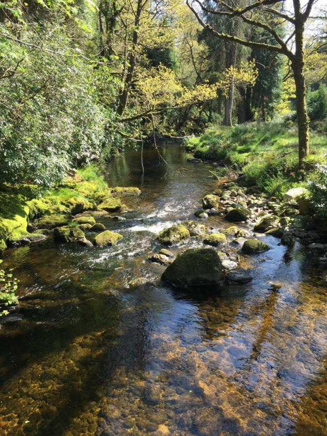 Ballyteige Lodge Ballyteige Bridge Esterno foto