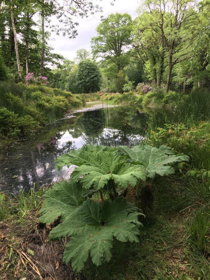 Ballyteige Lodge Ballyteige Bridge Esterno foto