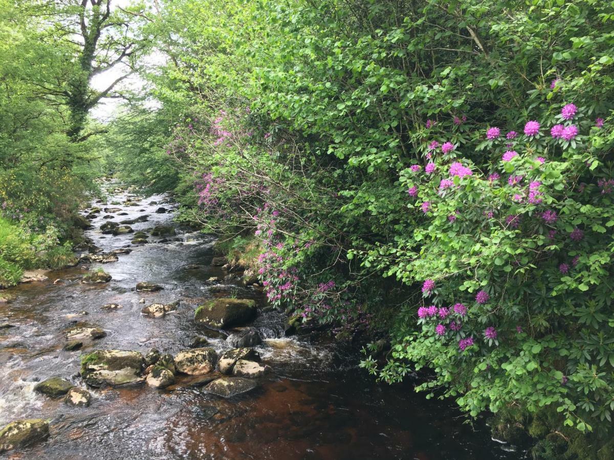 Ballyteige Lodge Ballyteige Bridge Esterno foto